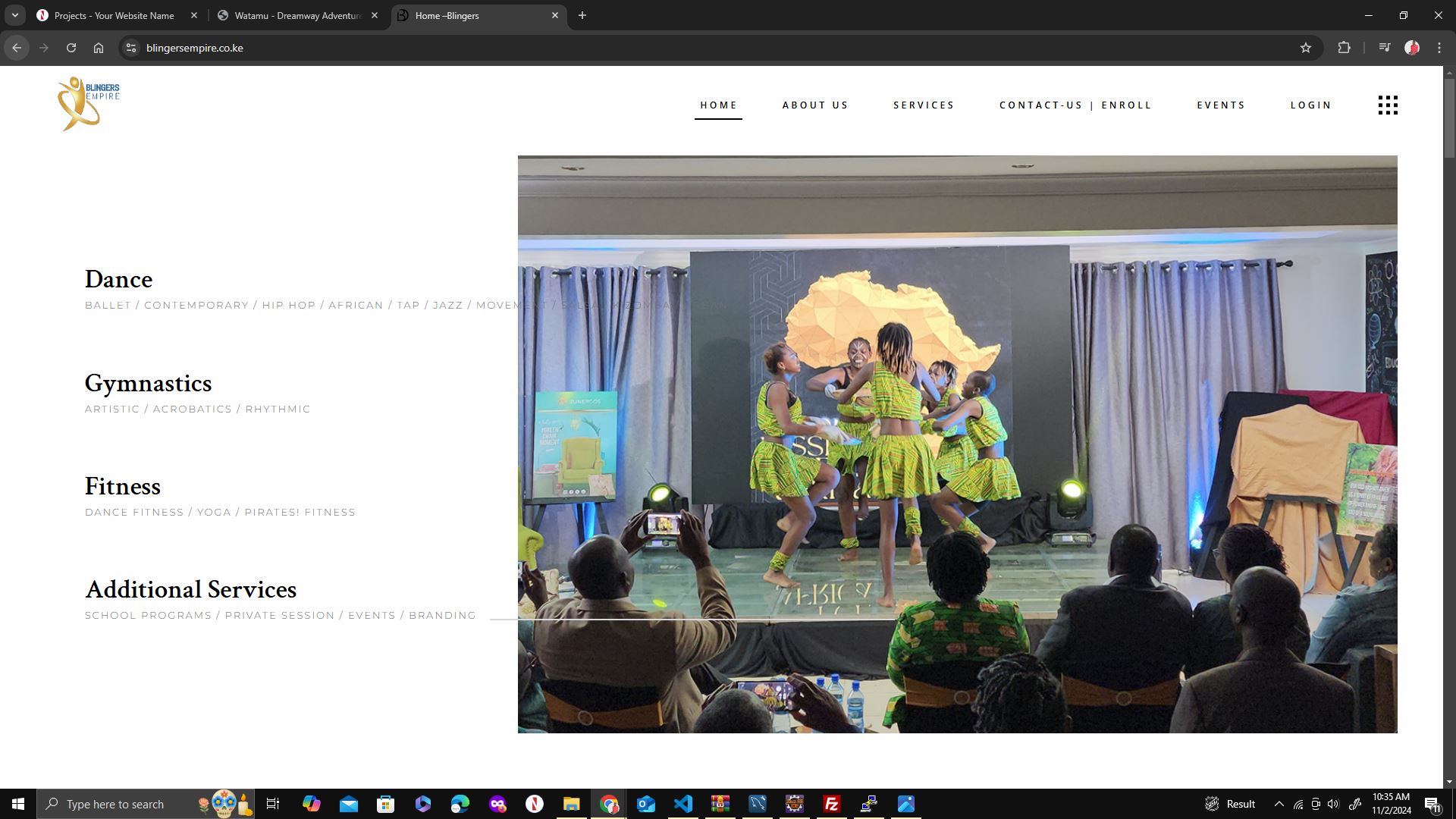 Portfolio Summary for Blingers Empire Website - Featured Image